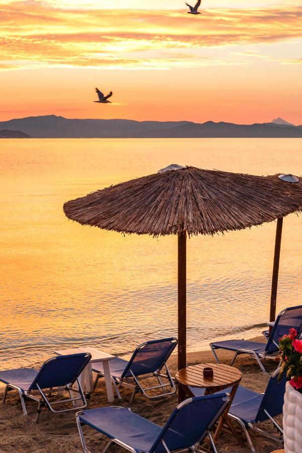 Marabou Hotel بيفكوهوري المظهر الخارجي الصورة